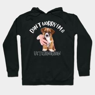 Don't Worry I'm A Veterinarian Hoodie